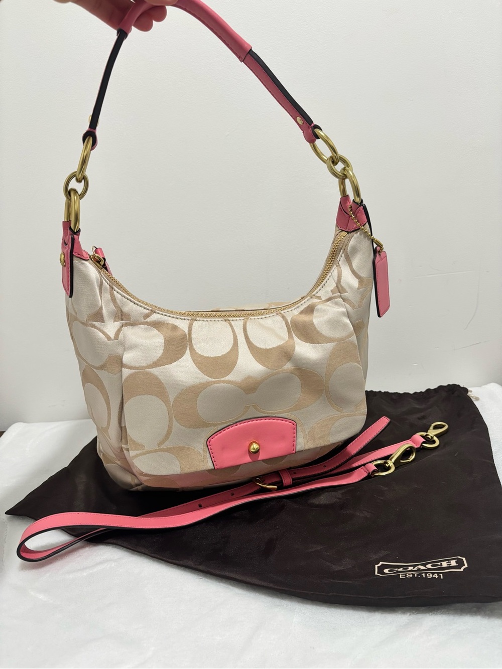 Y2K Kristin Signature Sateen hobo